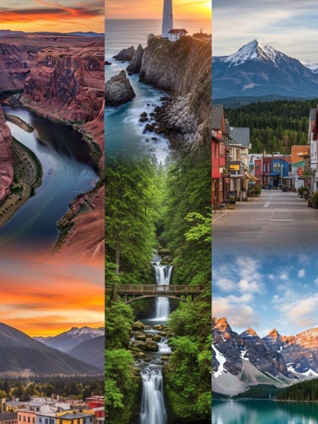 Design sem nome (2) (1)